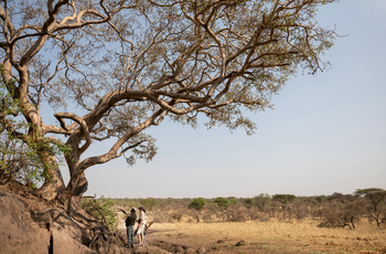 Kusini Serengeti: Walking Safari