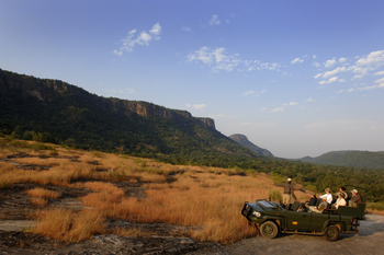 Mahua Kothi: Game Drive