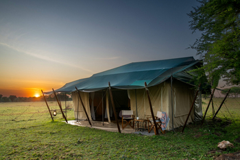 Mara Under Canvas: Gästezelt