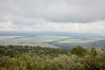 Saruni Mara Camp: Die Mara