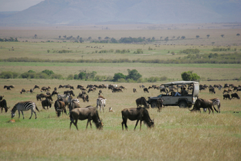 Saruni Mara Camp: Game Drive