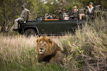 Tanda Tula Safari Camp: Game Drive
