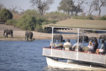 andBeyond Chobe under Canvas: Bootsexkursion