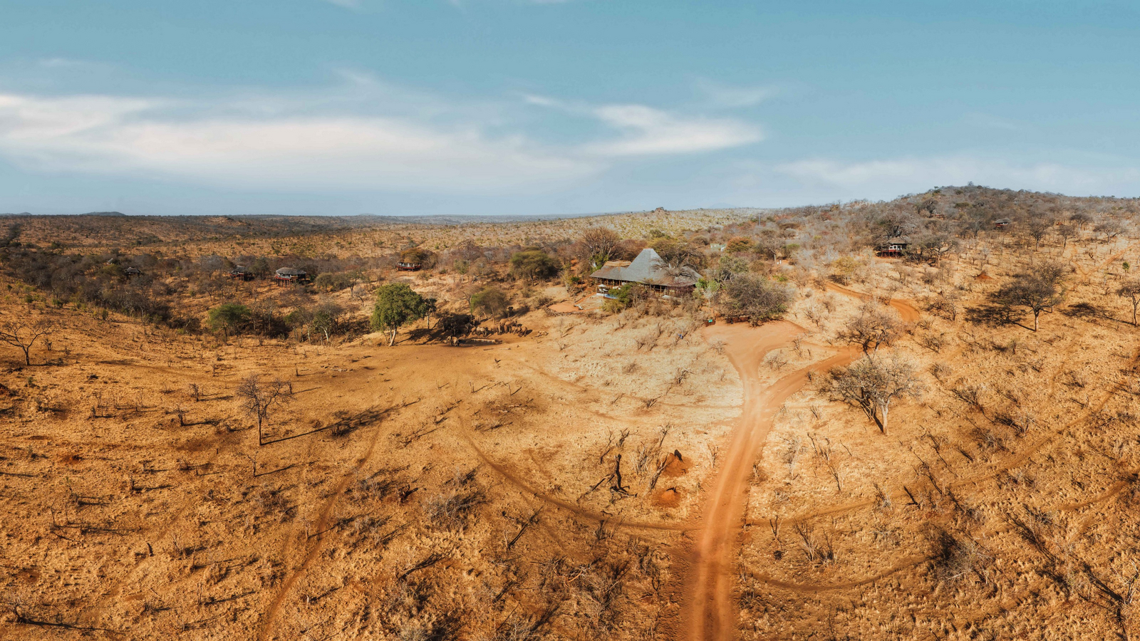 Elewana Tarangire Treetops Elewana Tarangire Treetops: Landschaft