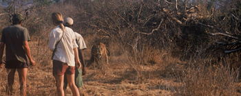 Chitake Mobile Camp Chitake Mobile Camp: Löwenbegegnung