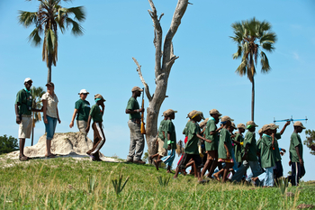 Davison's Camp: Gruppe zieht vorbei