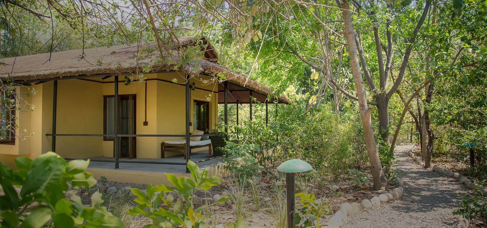 Jim's Jungle Retreat Jim's Jungle Retreat: Jungle Cottage