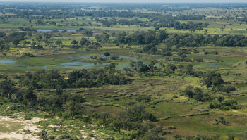 Kanana Camp: Weiträumige Landschaft