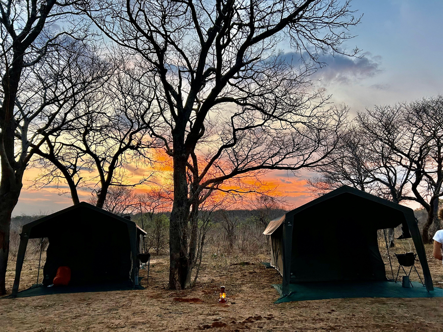 Okavango Expeditions