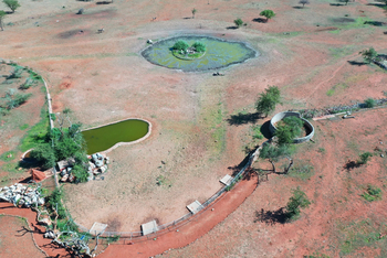 Okutala Lodge: Tiergehege