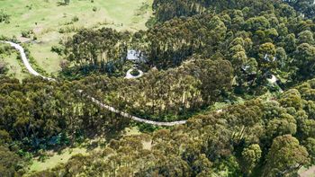 One and Only Gorilla's Nest: Gelände von oben
