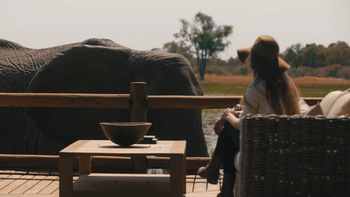 Sanctuary Chief's Camp Sanctuary Chief's Camp: Elefant vor dem Deck