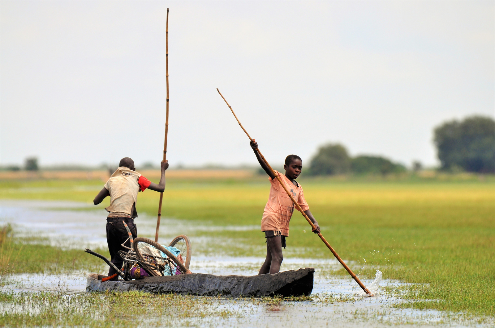 Shoebill Island Camp Shoebill Island Camp: Mokoro-Transport