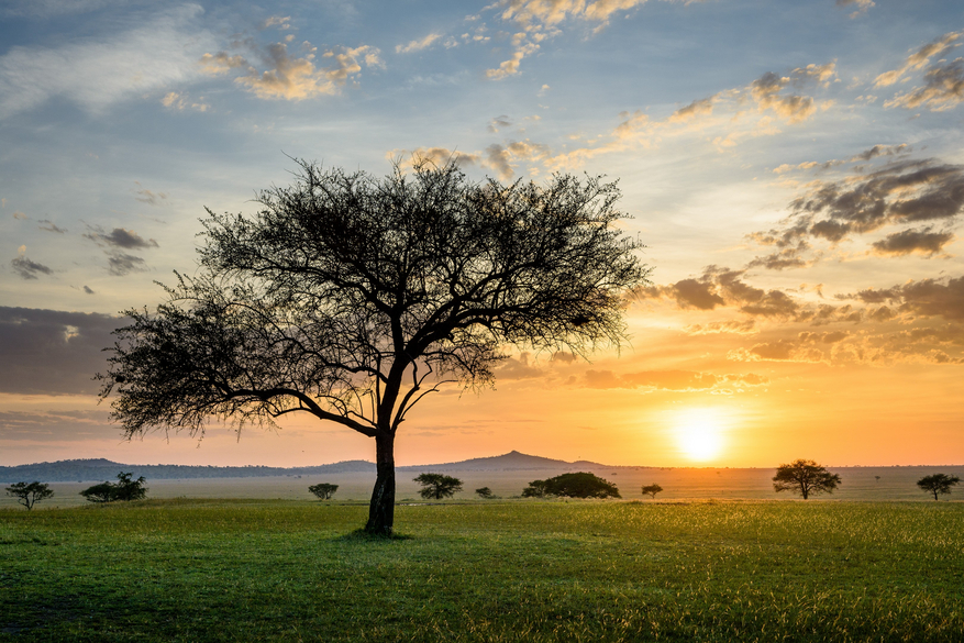 Sinigita Grumeti Game Reserve