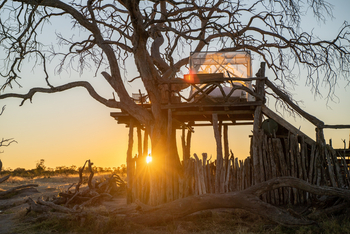 Somalisa Acacia Camp Somalisa Acacia Camp: Sleep-Out