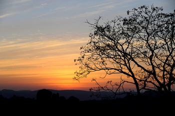 Big Cave Camp Big Cave Camp: Baum und Himmel