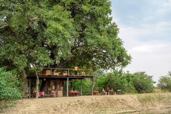 Chikoko Tree Camp: Sitenje unter großem Baum