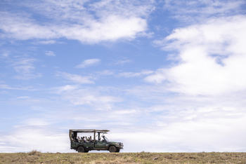 Governors' Mugie: Lion Tracking