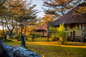 Hakusembe River Lodge: Gepflegter Garten