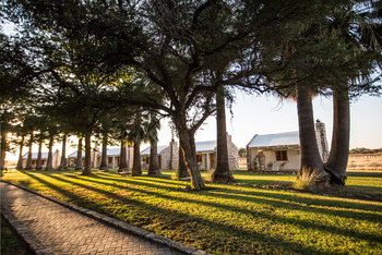 Kalahari Farmhouse: Alte Bäume