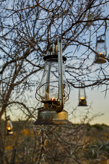 Kwandwe Melton Manor: Laterne