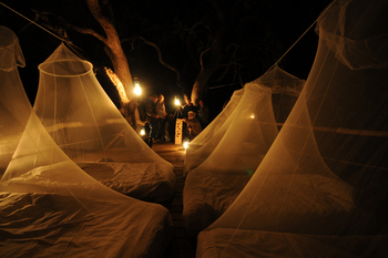 Macatoo Camp: Flycamping