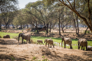 Old Mondoro Camp: Standardzelt