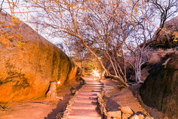 Ondudu Safari Lodge Ondudu Safari Lodge: Weg durchs Gelände