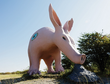 Planet Baobab: Erdferkel