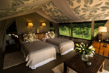 Richard's River Camp: Family Tent