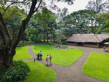 Rivertrees Country Inn: Wege