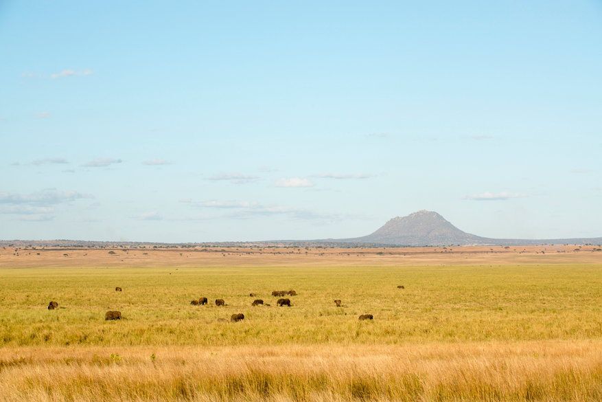 Kuro Tarangire Camp