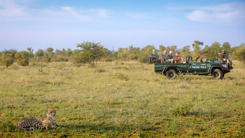 Tanda Tula Safari Camp: Game Drive