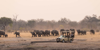 The Hide: Trockenzeit September