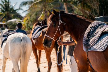 Azura Benguerra Island: Reiten
