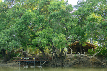 Big Lagoon Camp: Viewing Deck