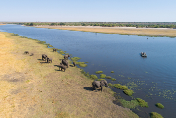 Chobe Savanna Lodge: Fluss-Safari