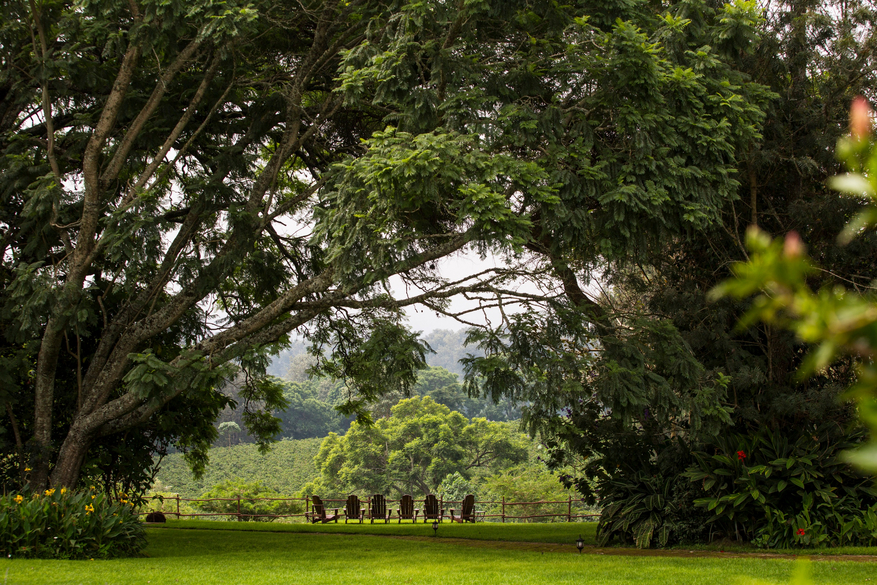 Elewana The Manor at Ngorongoro