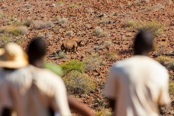 Grootberg Lodge: Rhino Tracking und Moringa Walk