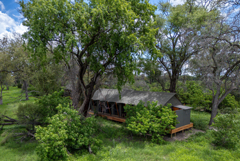 Karangoma Camp: Zelt unter Bäumen