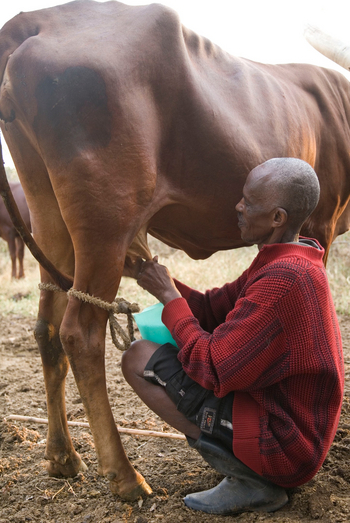 Mihingo Lodge: Melker