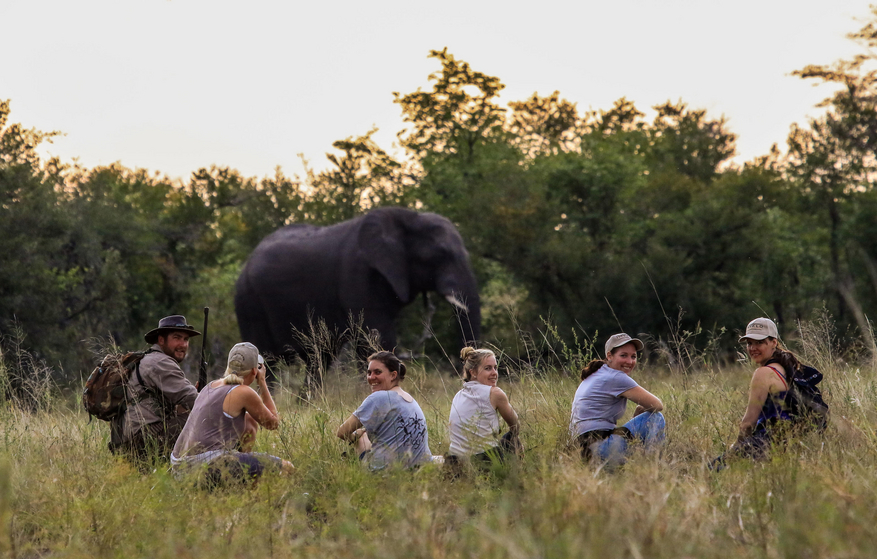 Nehimba Lodge