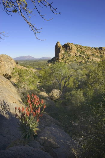 Ondudu Safari Lodge Ondudu Safari Lodge: Landschaftsblick