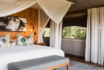 Sable Alley Camp: Interieur