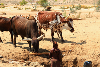 Sanctuary Okahirongo River Camp Sanctuary Okahirongo River Camp: No Title