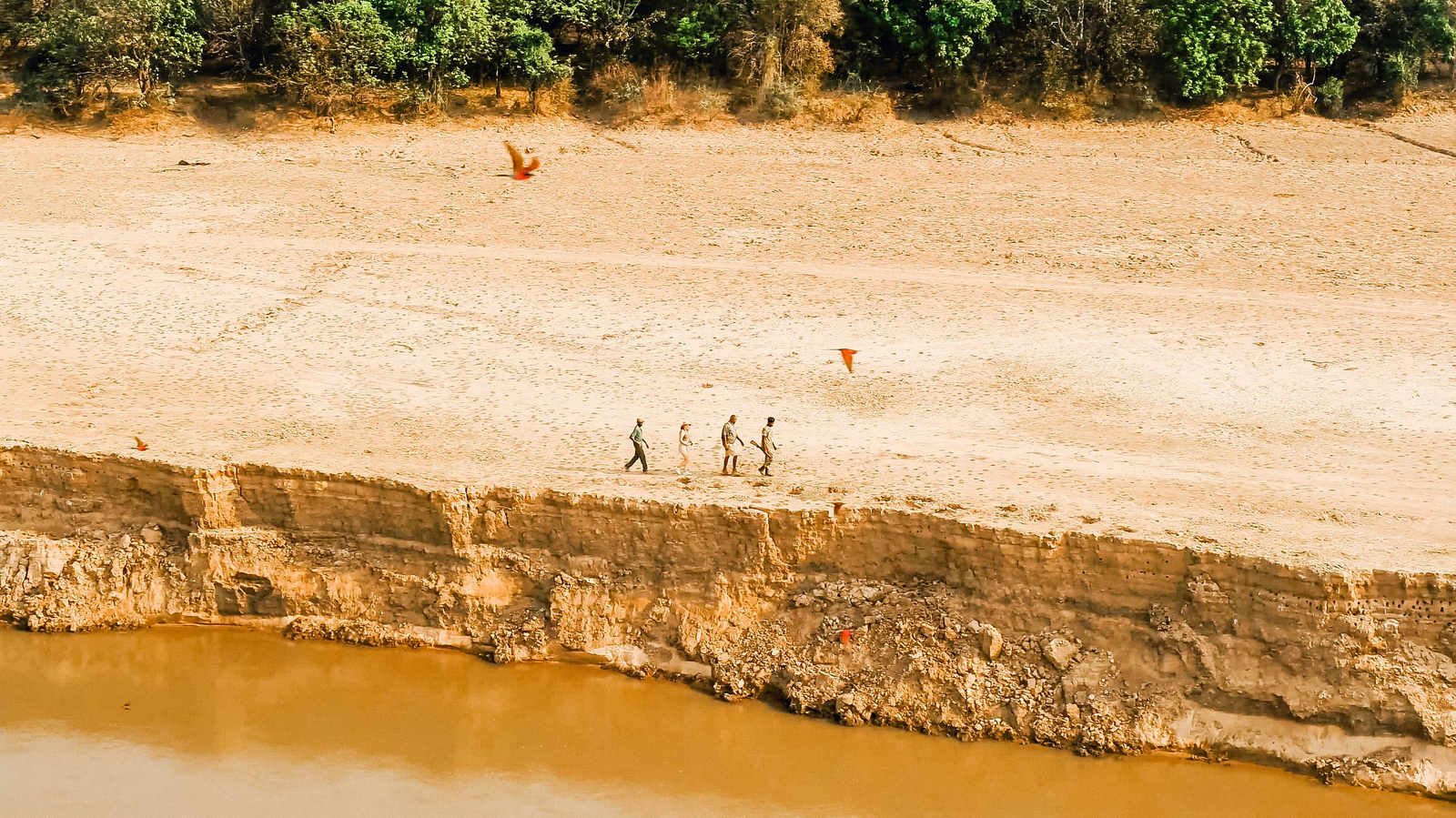 Shawa Luangwa Camp Shawa Luangwa Camp: Walking Safari