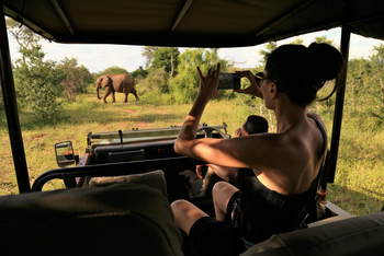 Victoria Falls River Lodge Victoria Falls River Lodge: Game Drive