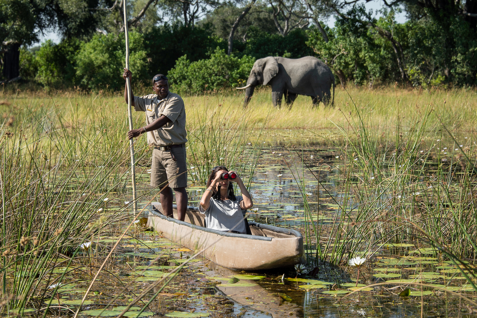 Vumbura Plains Camp Vumbura Plains Camp