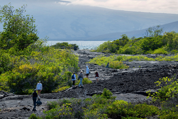andBeyond Galapagos Explorer: Wanderer auf dunklem Lavafeld am Meer
