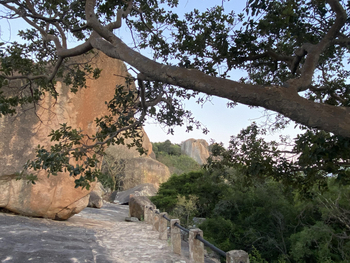 Big Cave Camp Big Cave Camp: Campumgebung am Tag